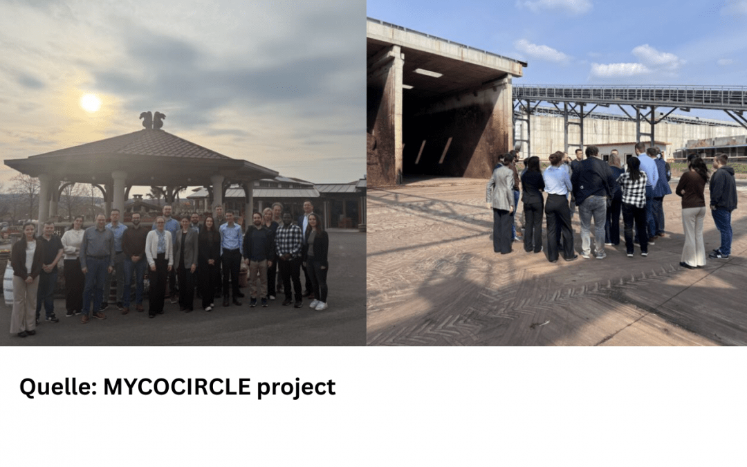 Together for a sustainable bioeconomy: Successful project meetings for MYCOCIRCLE and UrbanHeatCycle