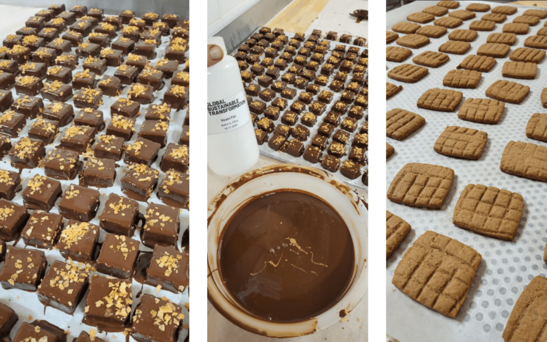 GST at Food Ingredients Europe 2025 in Paris
